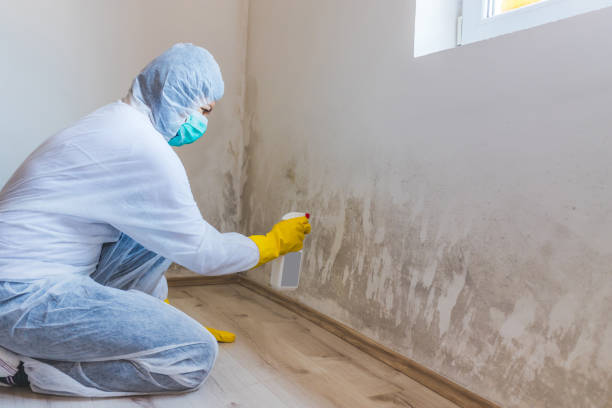 Hvac And Air Duct Mold Remediation inspection of HVAC system in Dornsife